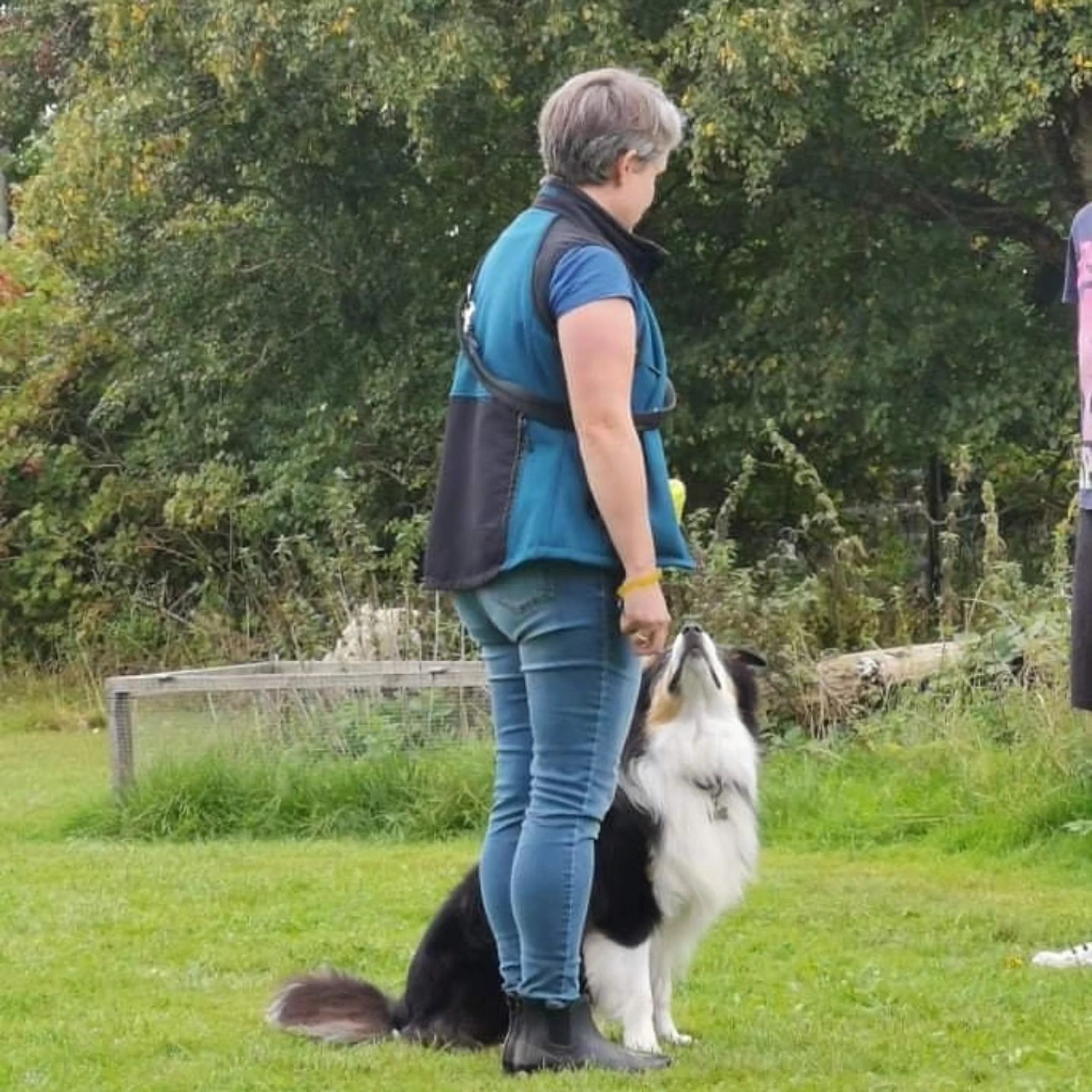 Hund der sidder ned ved ejer