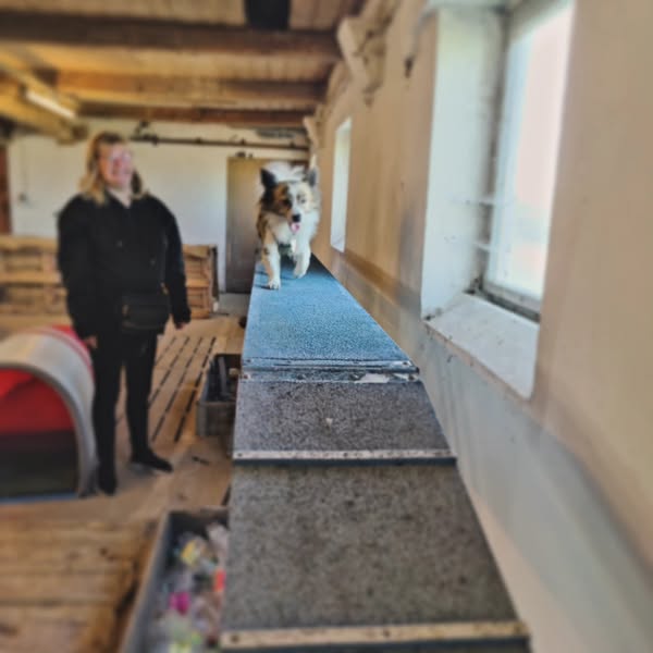 Første kunde på agility rampen